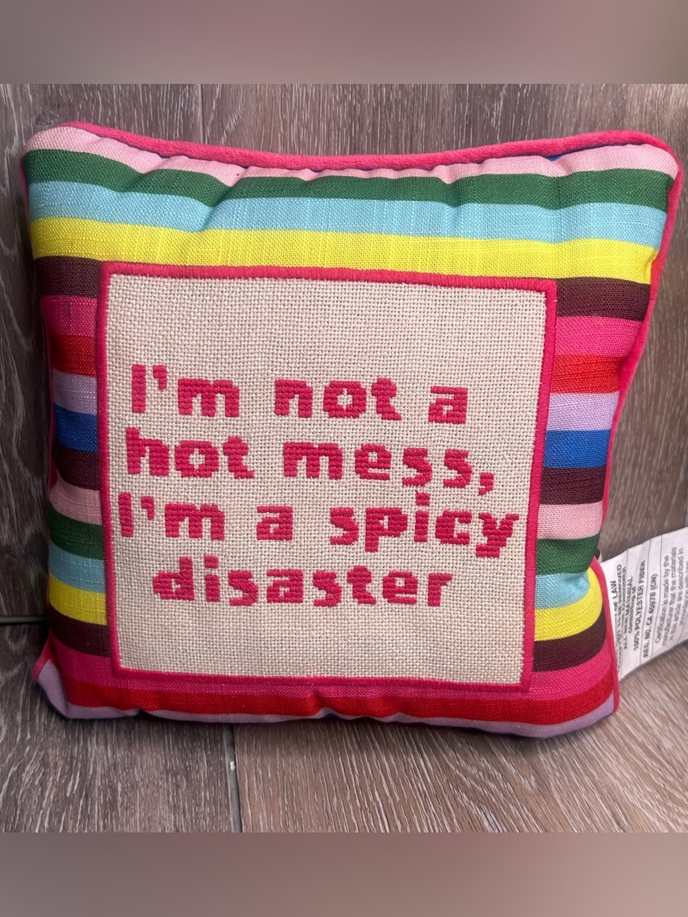 Kirkland’s Spicy Disaster Pillow Colorful Striped Funny Quote Home Decor